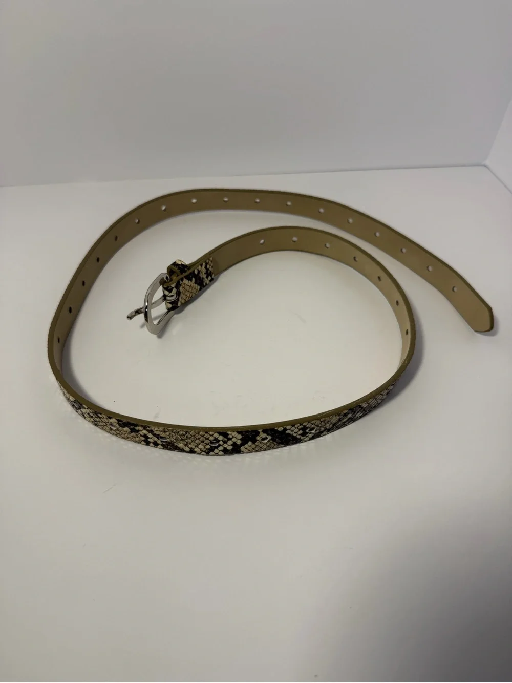 Chic Neutral Snakeskin Print Skinny Belt Silver Buckle